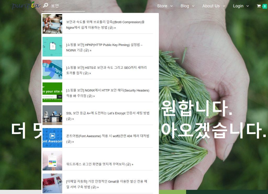 라이브 서치_SearchWP Live Ajax Search 구현 모습